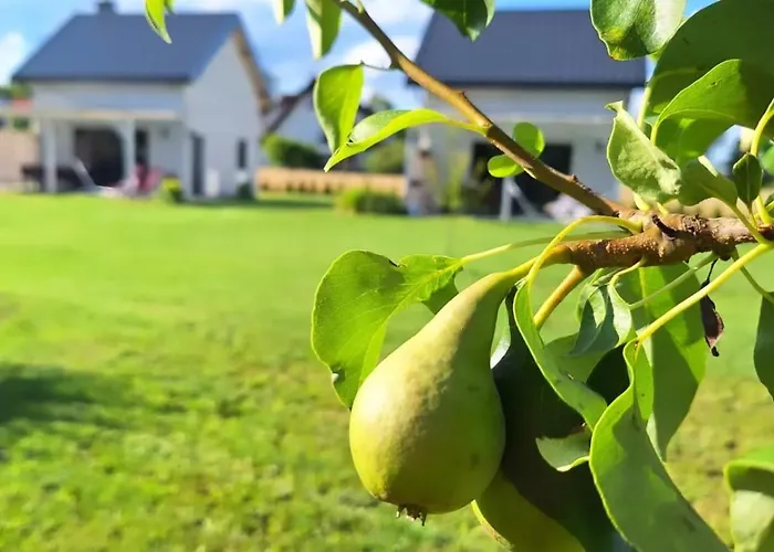 Kaszubski Chill 1 Prázdninový dům Lakie (Bytow)